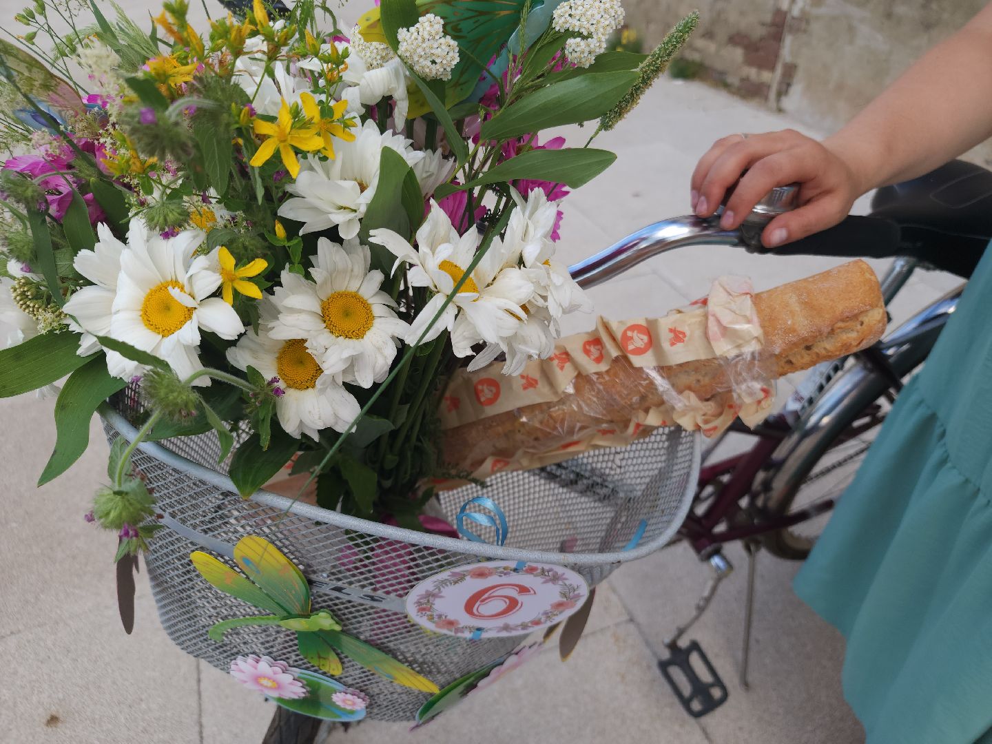 Велогонки, Велоледи, орехово-зуевский округ,