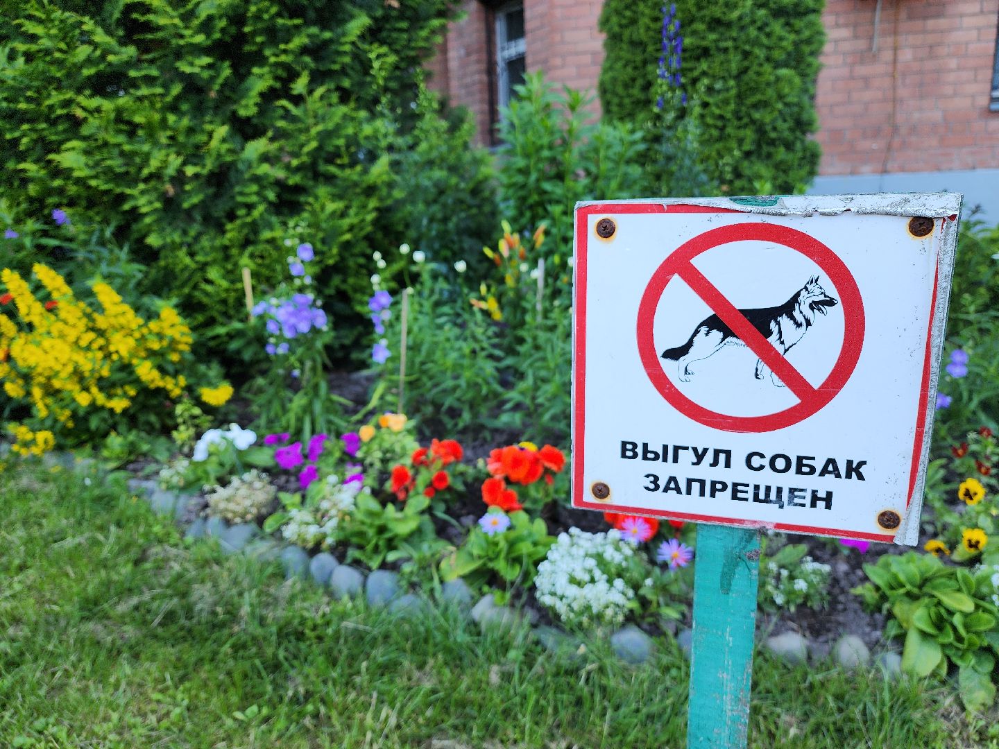 долгожительница, долгожители подмосковья, тсж, садовник, красногорск,