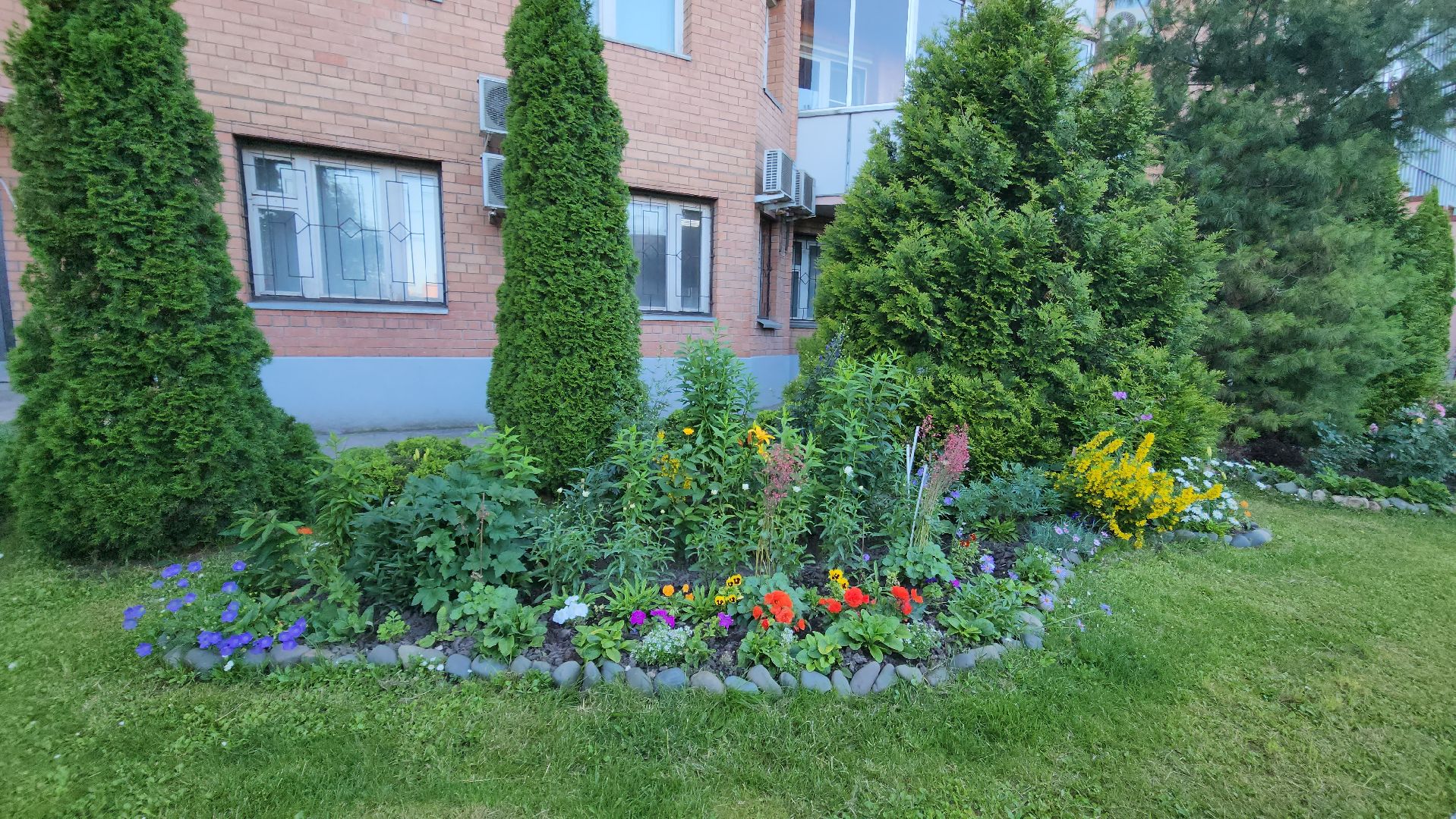 долгожительница, долгожители подмосковья, тсж, садовник, красногорск,