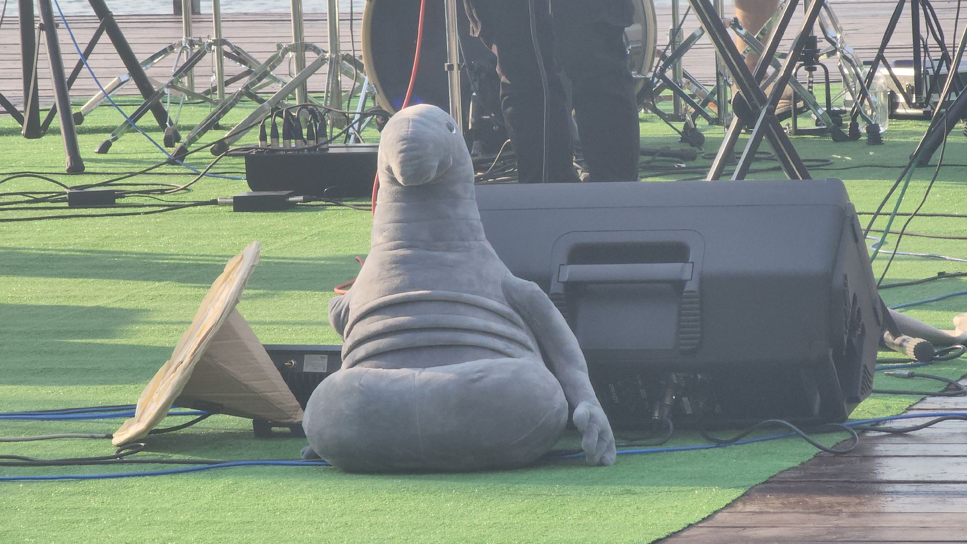 долгопрудный, водная сцена, котовский залив, Рок-н-ролл,