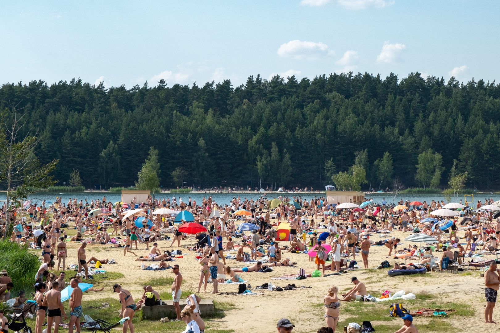 лыткарино, общество, волкуша, пляж, отдых, общественный транспорт,