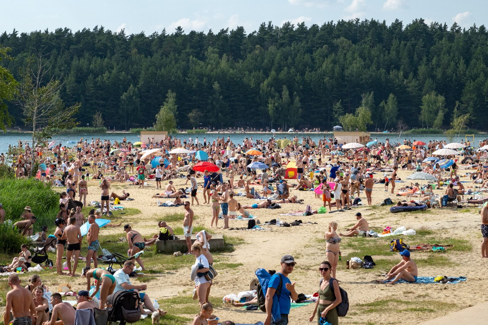 лыткарино, общество, волкуша, пляж, отдых, общественный транспорт,