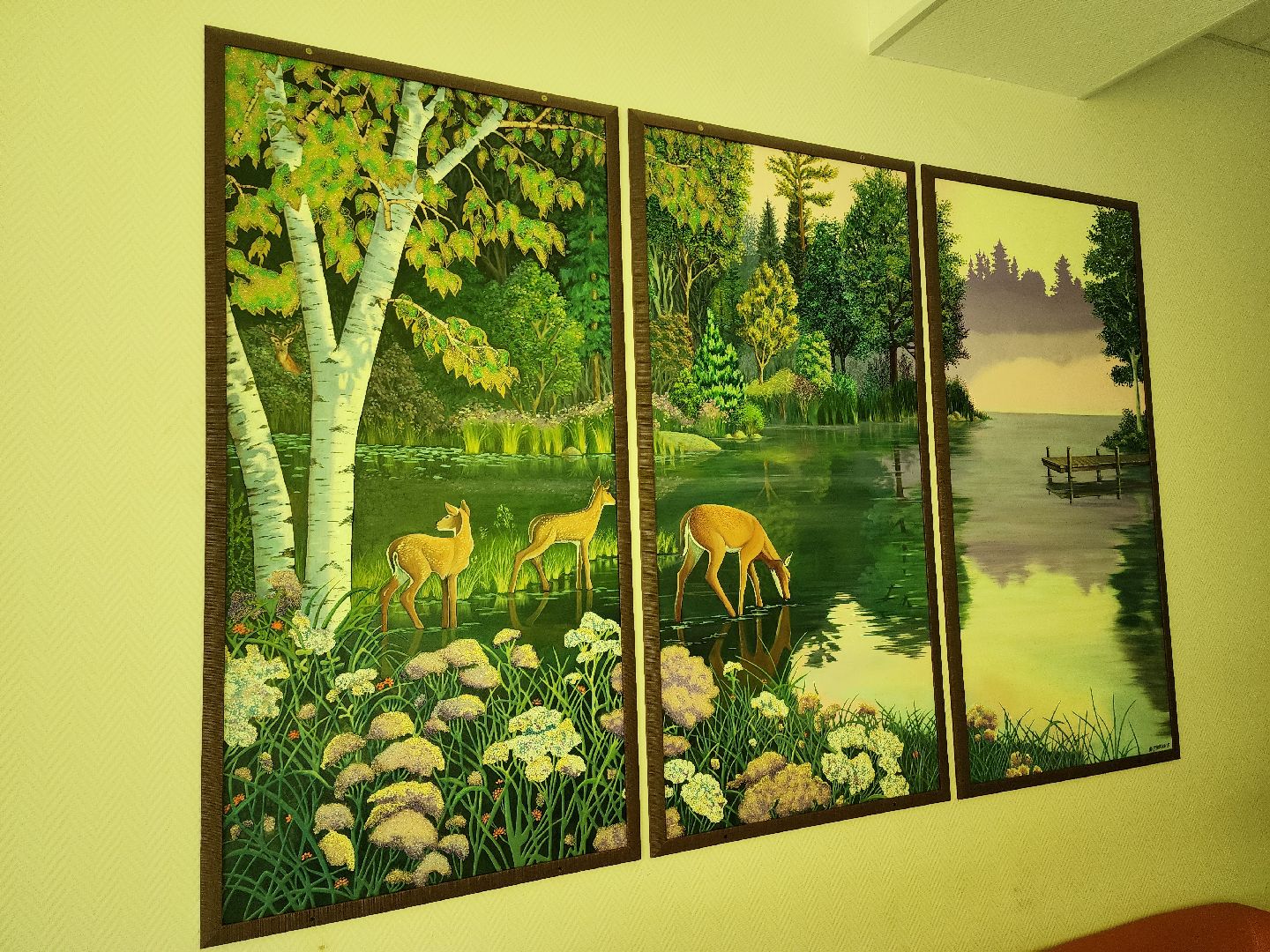 Видновский перинатальный центр, Роддом, Впц, Видное, ленинский городской округ,Малыши, Младенцы, Новорожденный,