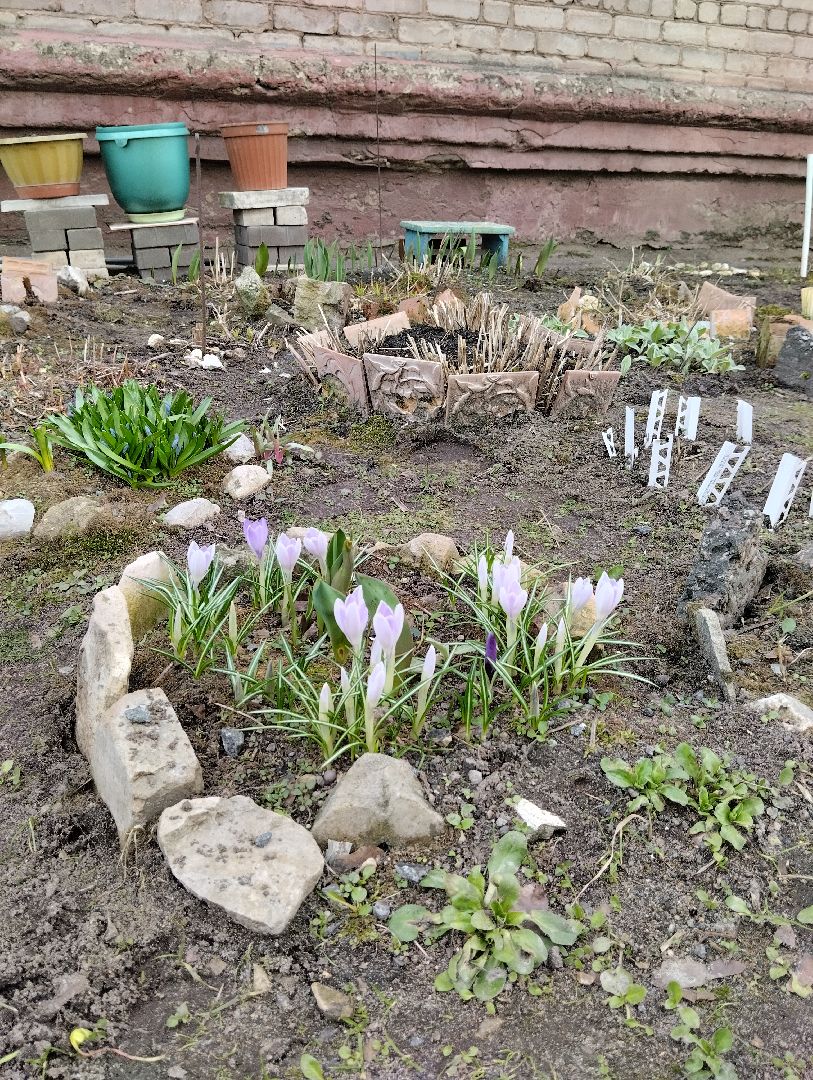 Старая Купавна, природа, весна, Богородский городской округ, животные