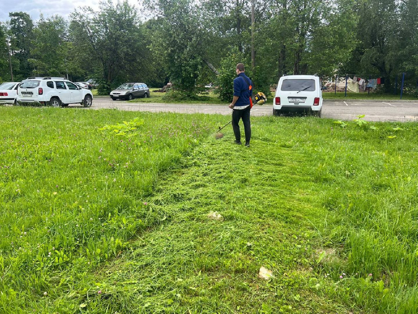 управляющая компания, школьники, работа, благоустровйство, покос травы,