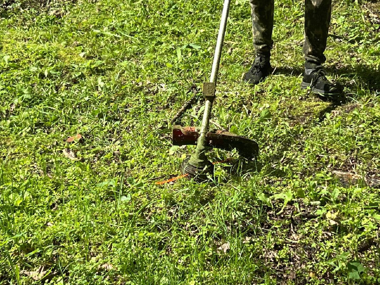 управляющая компания, школьники, работа, благоустровйство, покос травы,