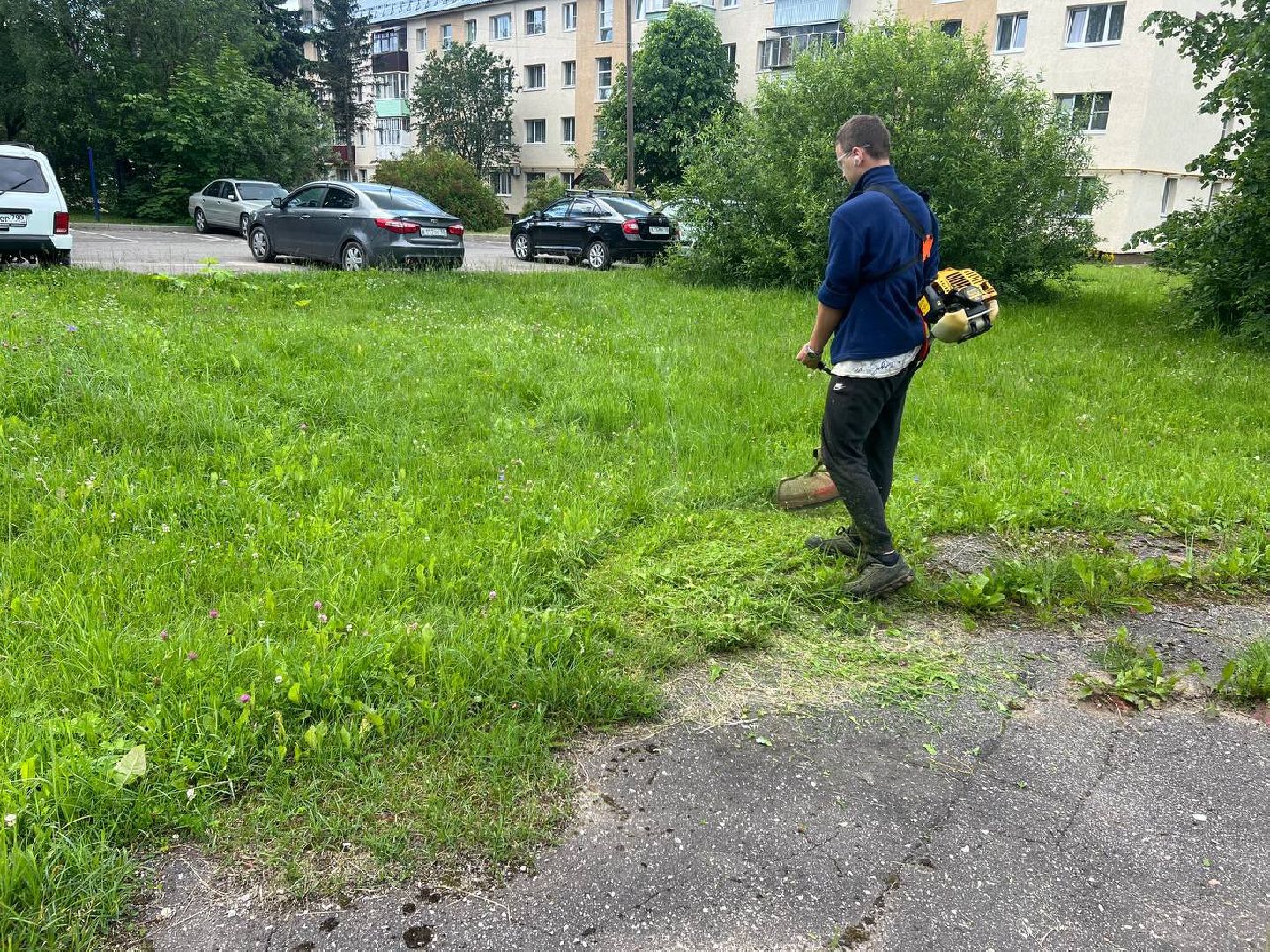 управляющая компания, школьники, работа, благоустровйство, покос травы,