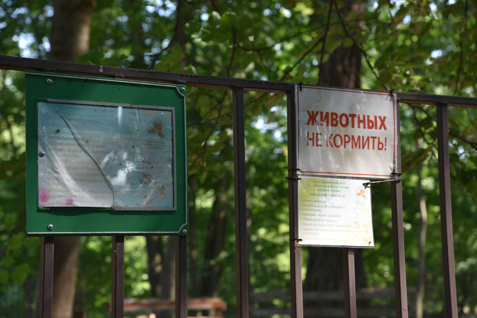 лотошино, лотошинский парк, пятнистые олени, парки подмосковья, дети, животные,