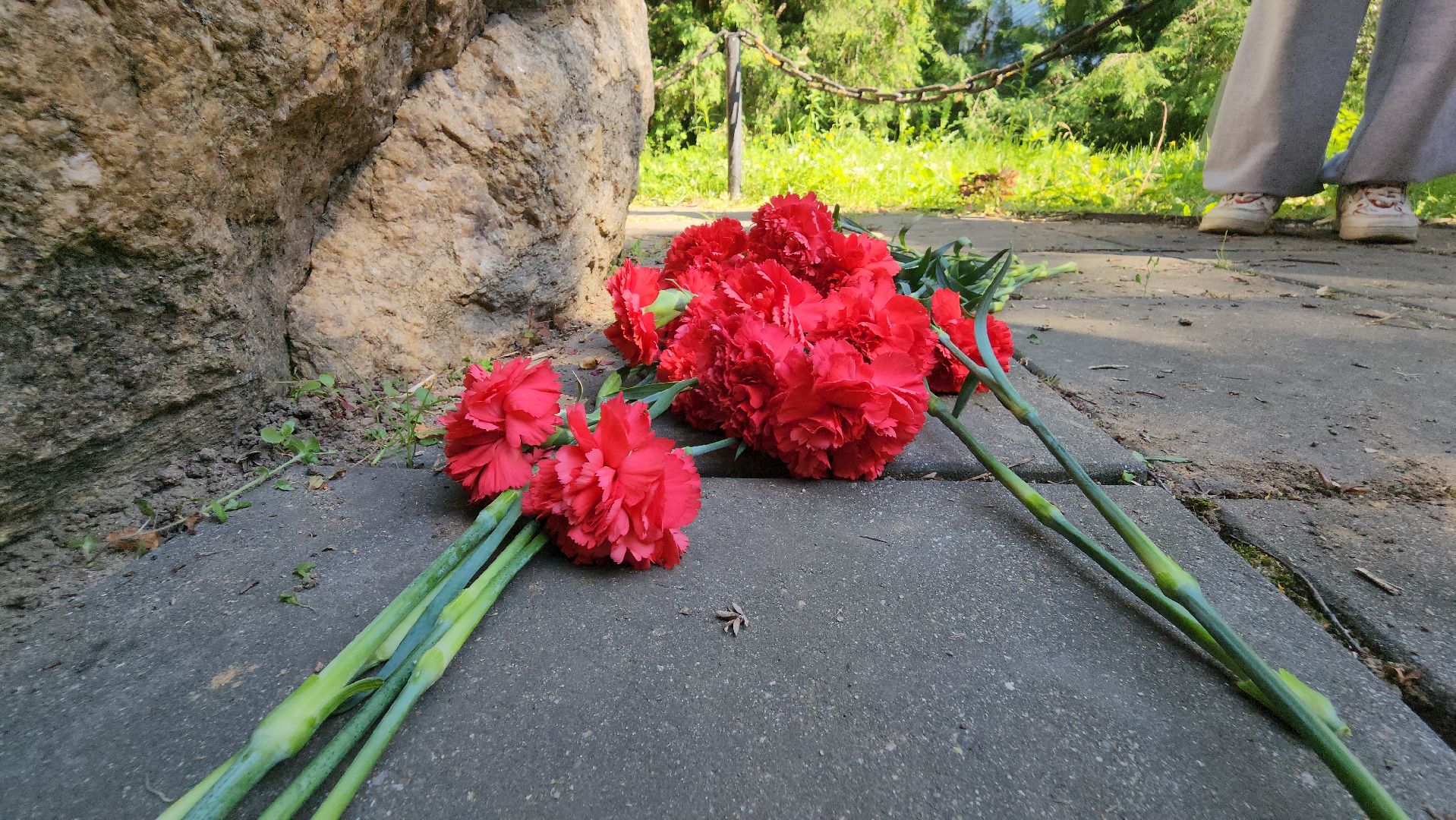 день ветерана боевых действий, день ветеранов боевых действий, руза, волонеры, рузский городской округ, московская область, подмосковье,