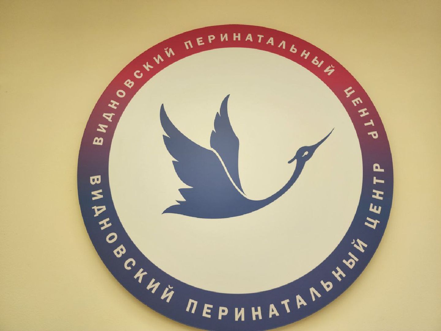 видновский перинатальный центр, впц, видное, роддом, ленинский округ,новорожденный,