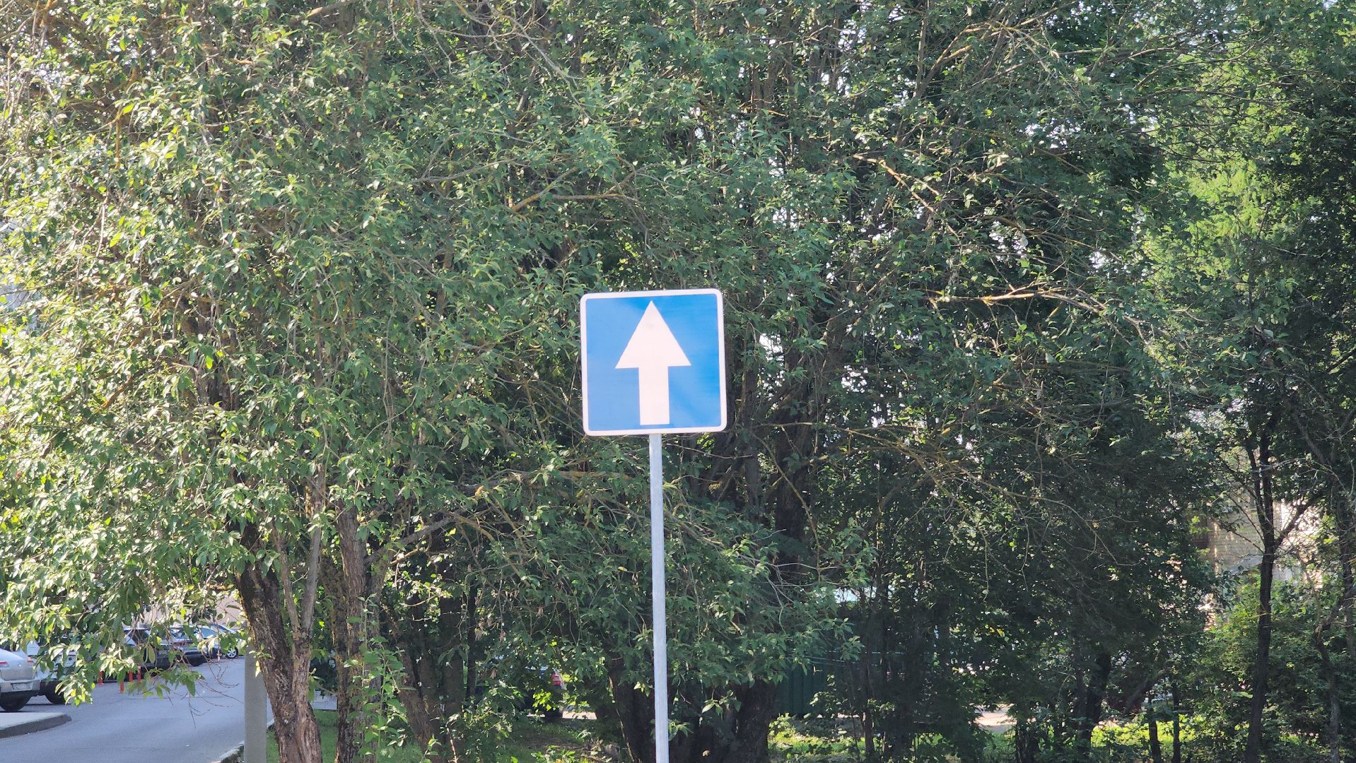 дороги, пдд, правила дорожного движения, руза, рузский городской округ, безопасность, московская область,