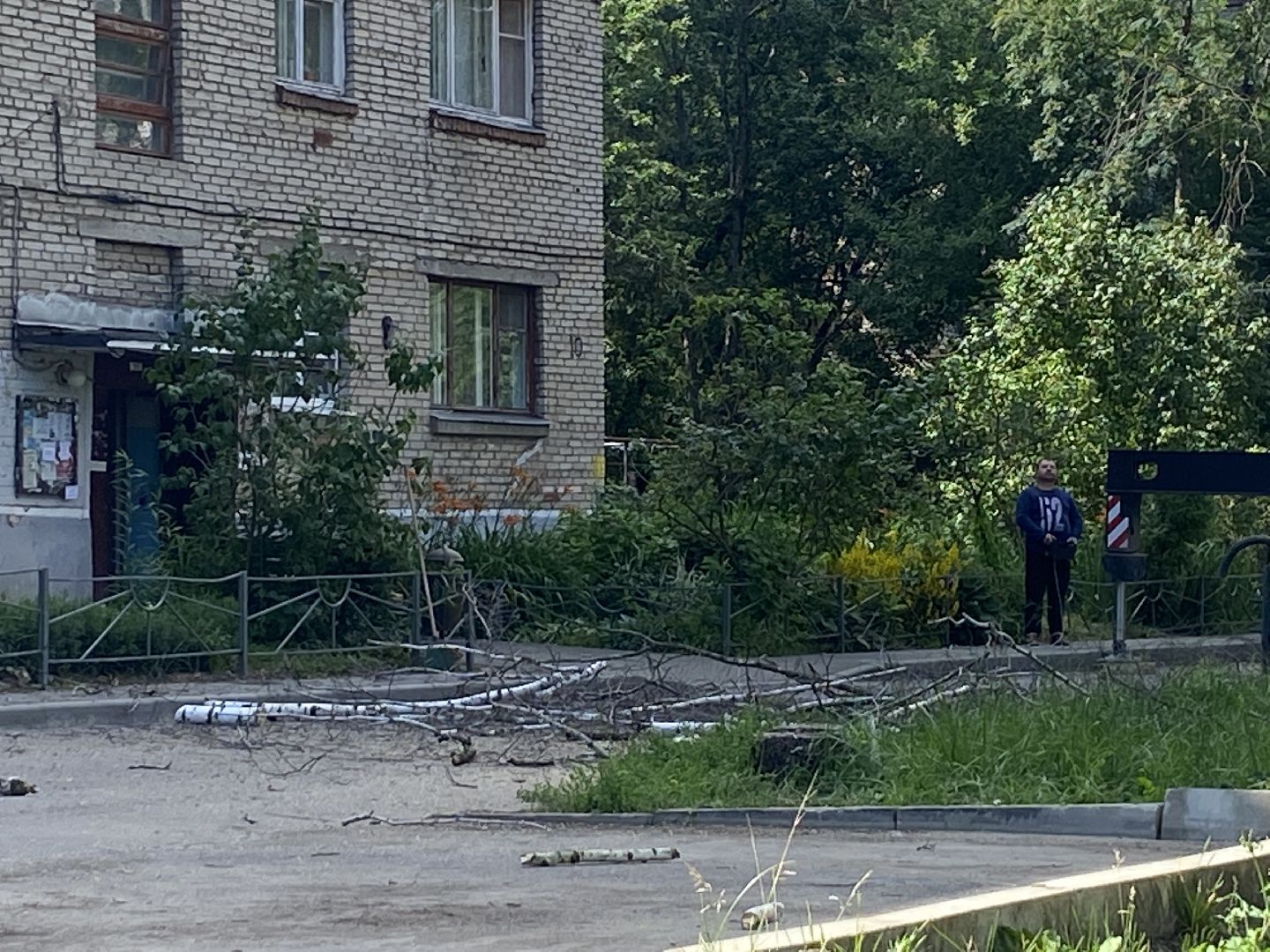 благоустройство дворовой территории, спил деревьев,аварийные деревья, сухие деревья, власиха благоустройство территории,