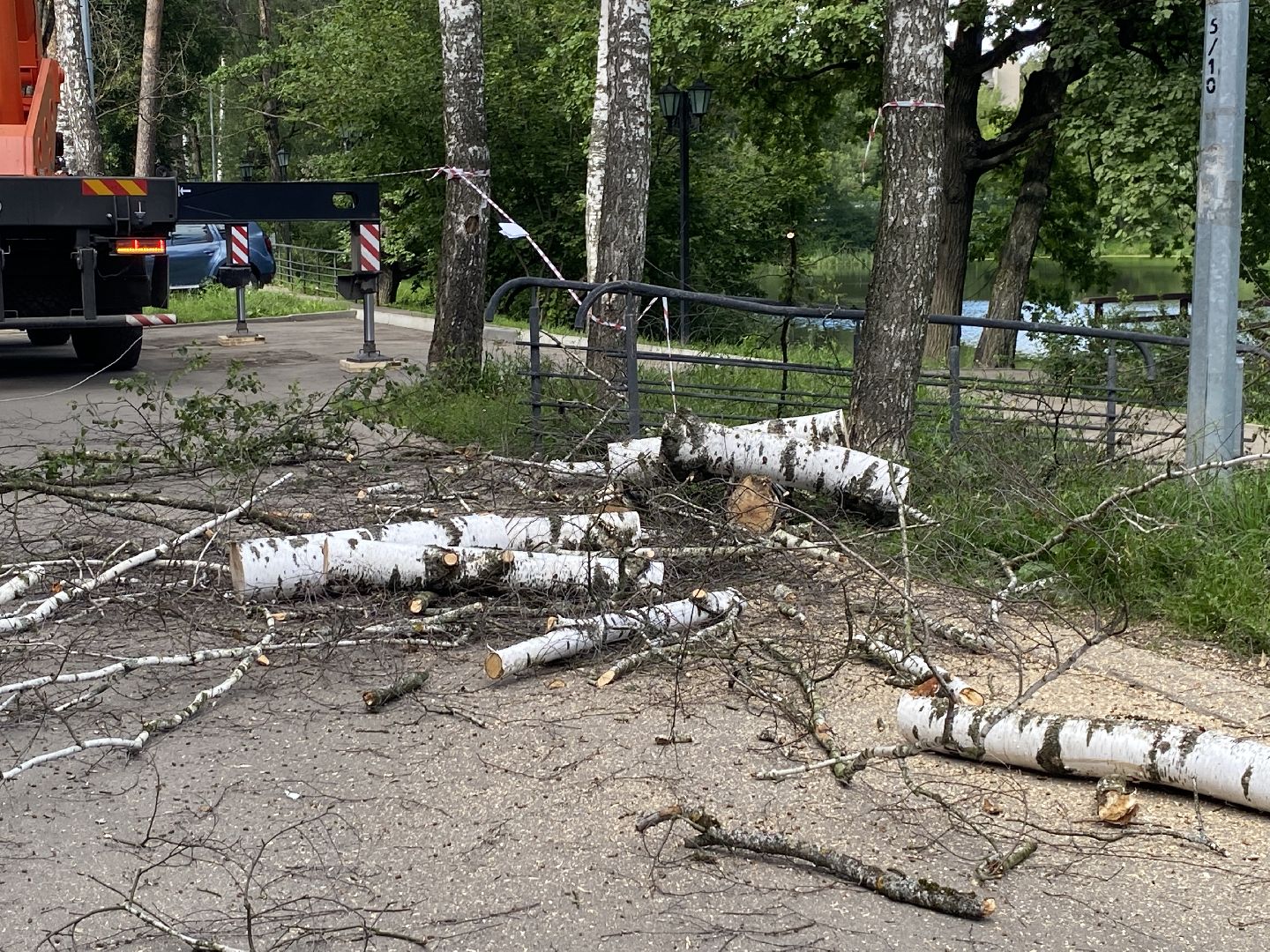 благоустройство дворовой территории, спил деревьев,аварийные деревья, сухие деревья, власиха благоустройство территории,