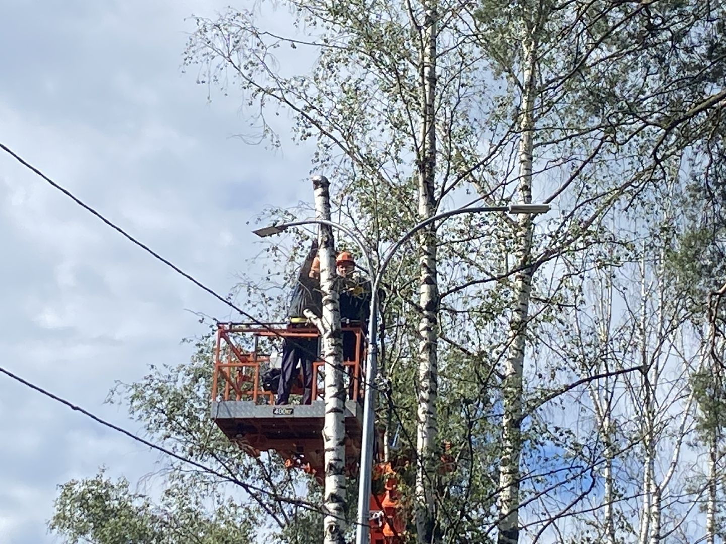 благоустройство дворовой территории, спил деревьев,аварийные деревья, сухие деревья, власиха благоустройство территории,