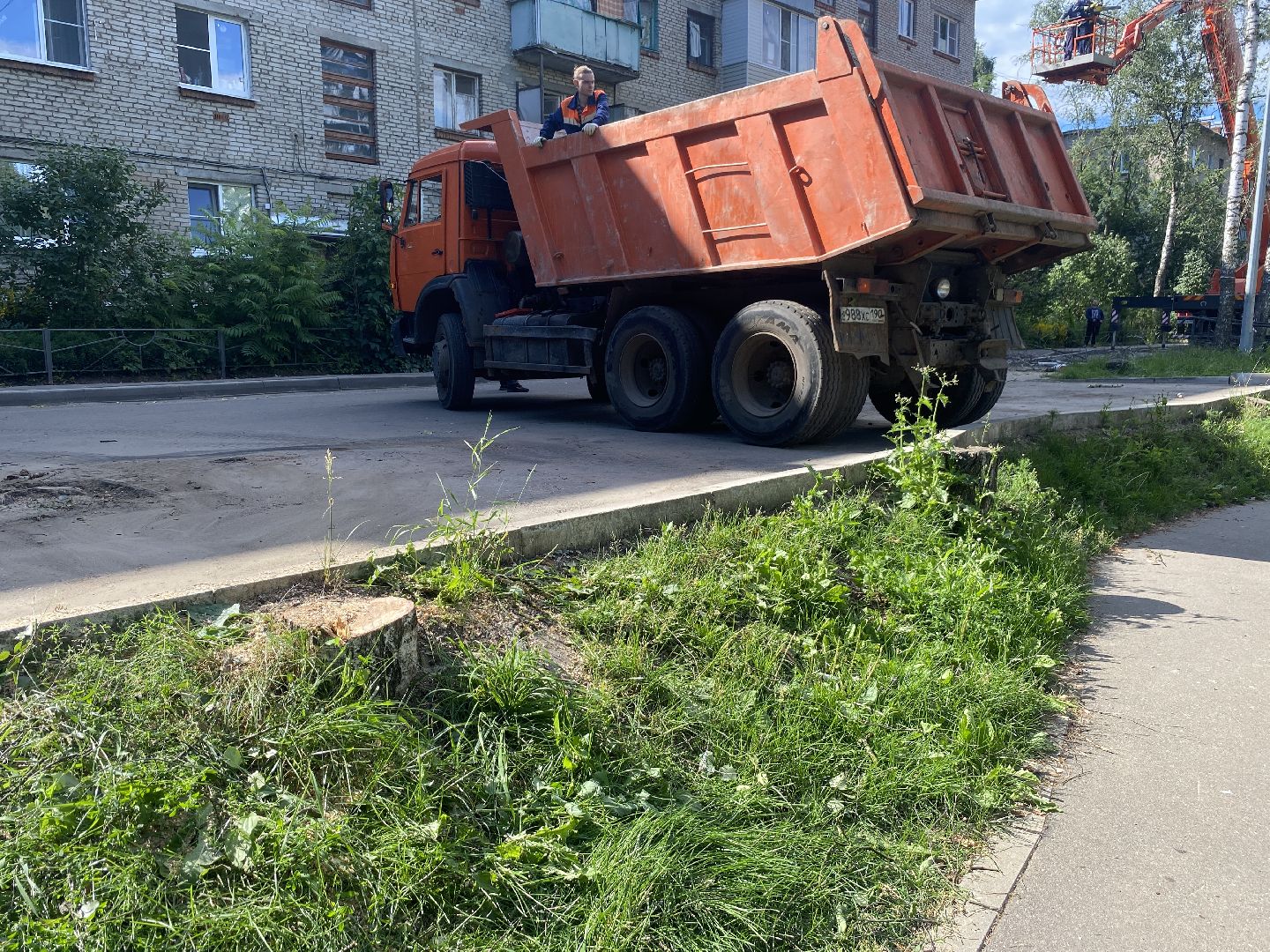 благоустройство дворовой территории, спил деревьев,аварийные деревья, сухие деревья, власиха благоустройство территории,