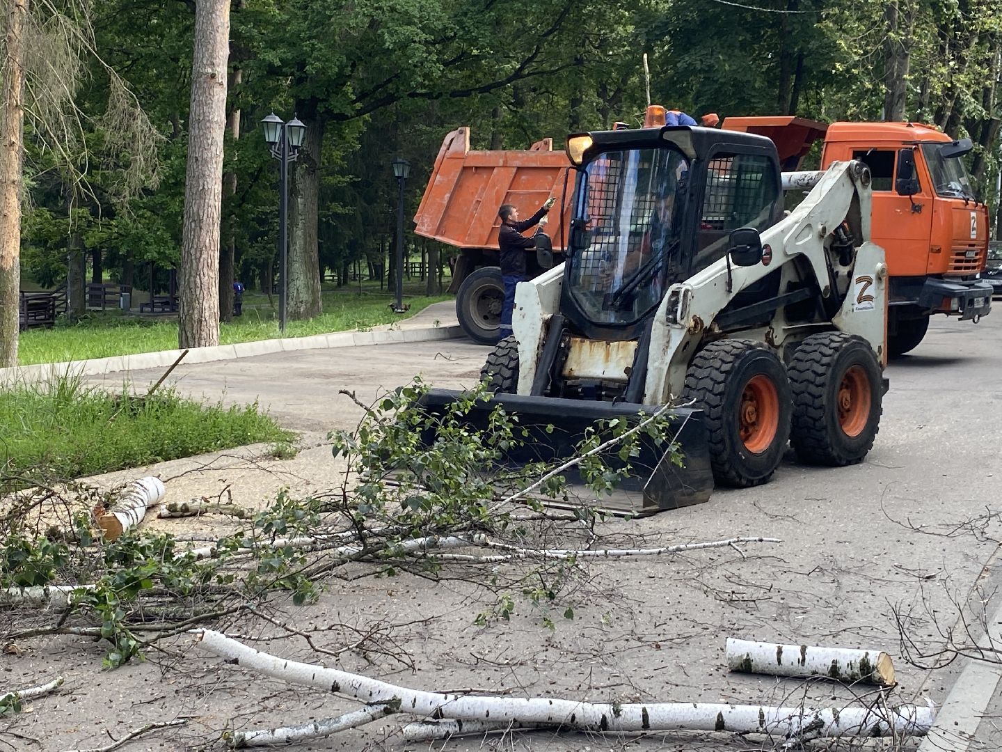 благоустройство дворовой территории, спил деревьев,аварийные деревья, сухие деревья, власиха благоустройство территории,