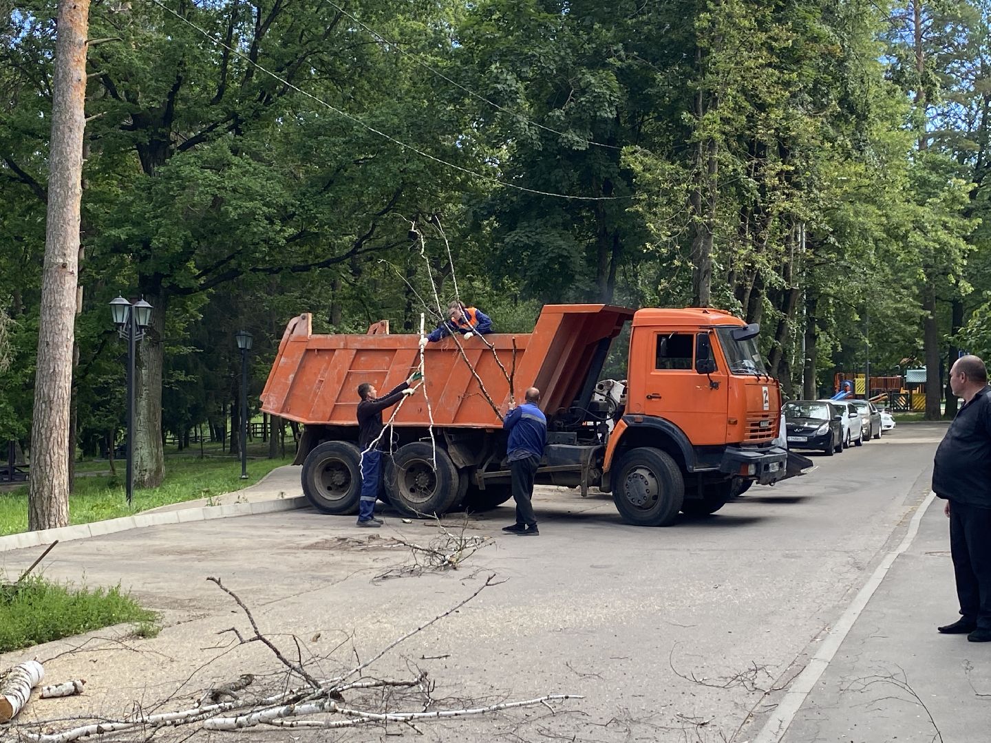 благоустройство дворовой территории, спил деревьев,аварийные деревья, сухие деревья, власиха благоустройство территории,