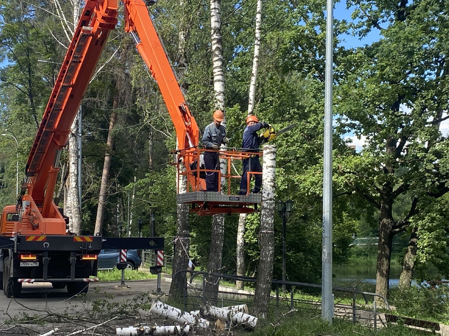 благоустройство дворовой территории, спил деревьев,аварийные деревья, сухие деревья, власиха благоустройство территории,