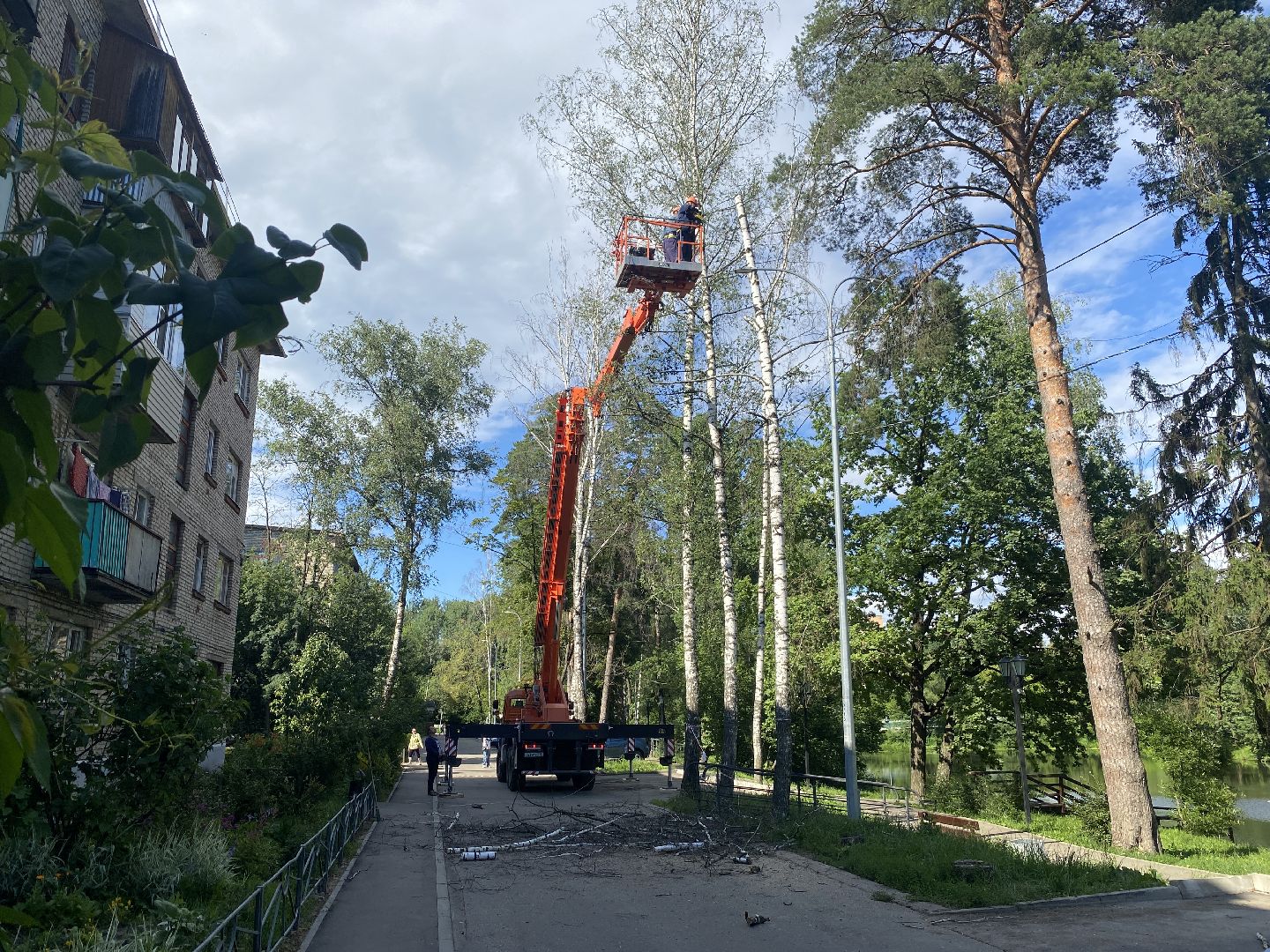 благоустройство дворовой территории, спил деревьев,аварийные деревья, сухие деревья, власиха благоустройство территории,