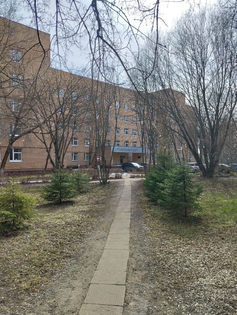 День неоантолога, родильный дом, Богородский городской округ, Ногинск, педиатр