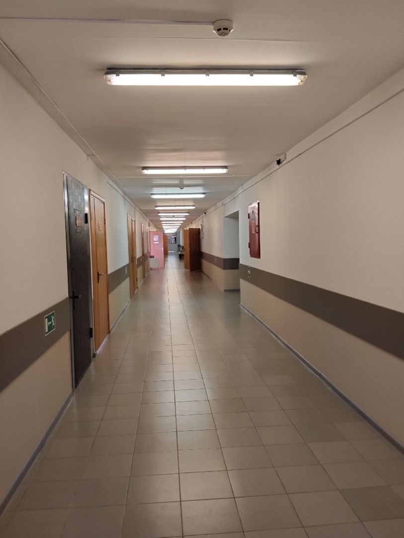 День неоантолога, родильный дом, Богородский городской округ, Ногинск, педиатр