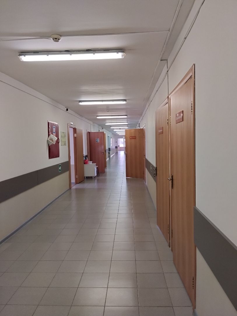 День неоантолога, родильный дом, Богородский городской округ, Ногинск, педиатр