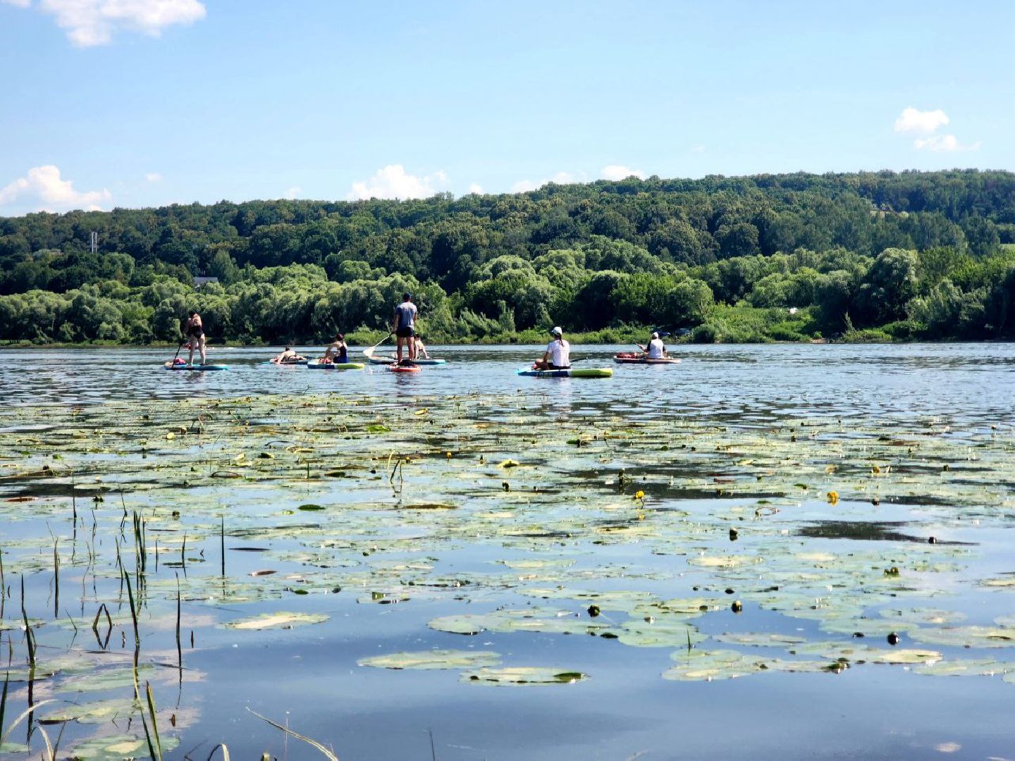 пущино, серпухов, сапбординг, спорт в подмосковье,