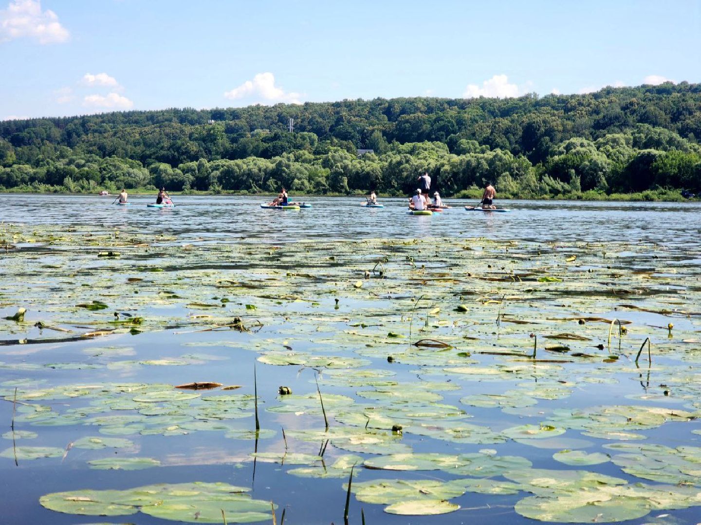 пущино, серпухов, сапбординг, спорт в подмосковье,