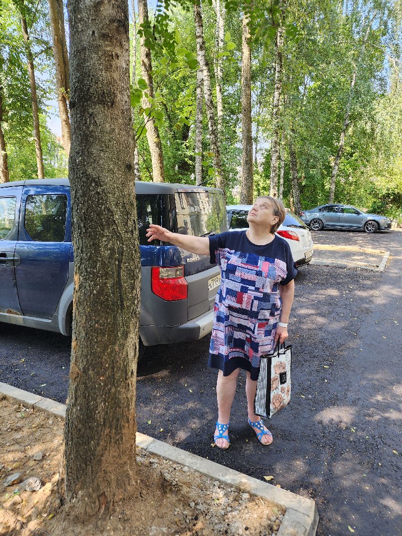 Чехов, комплексное благоустройство, дворы, формирование комфортной городской среды, проезды, тротуары, пешеходная дорожка, зоны отдыха, дворовая территория,