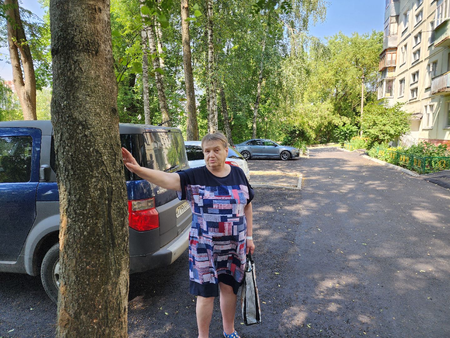 Чехов, комплексное благоустройство, дворы, формирование комфортной городской среды, проезды, тротуары, пешеходная дорожка, зоны отдыха, дворовая территория,