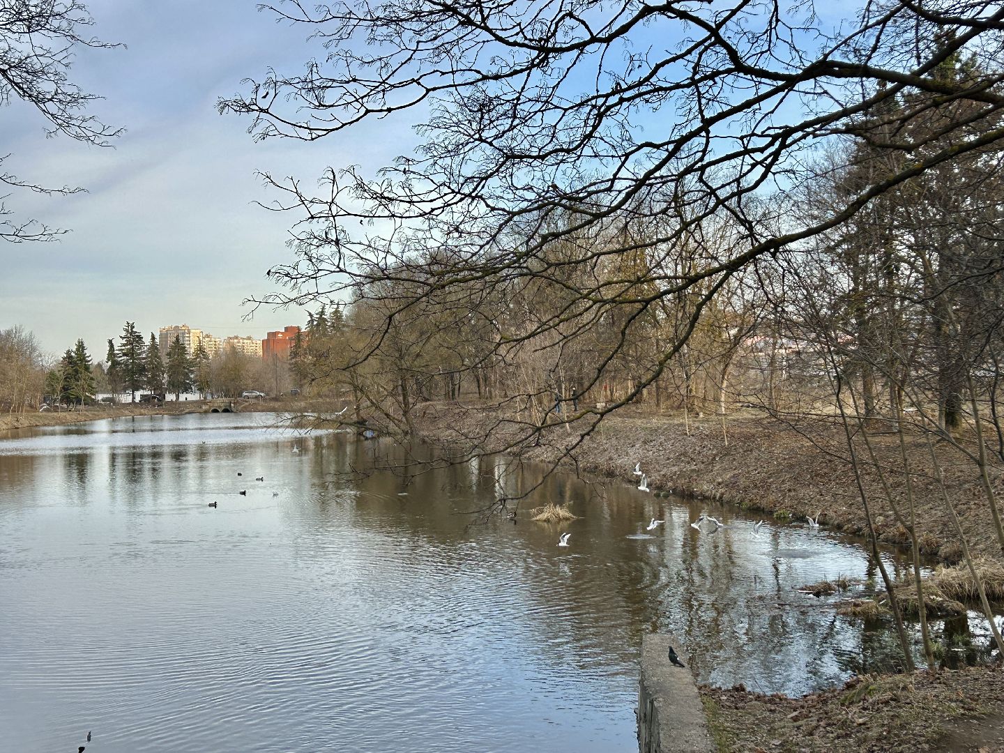 благоустройство, 100 прудов и озер, технический пруд, Фрязино