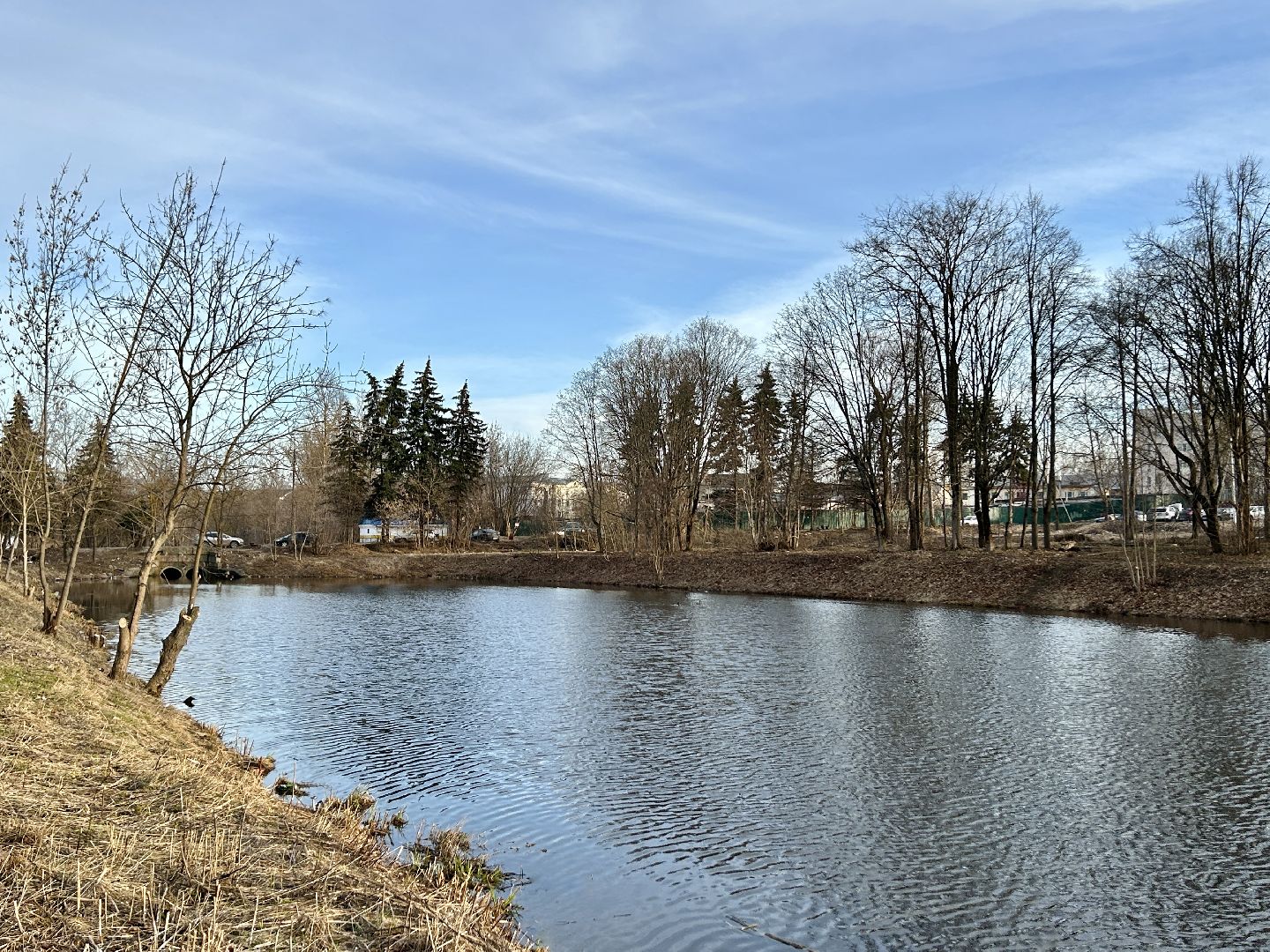 благоустройство, 100 прудов и озер, технический пруд, Фрязино