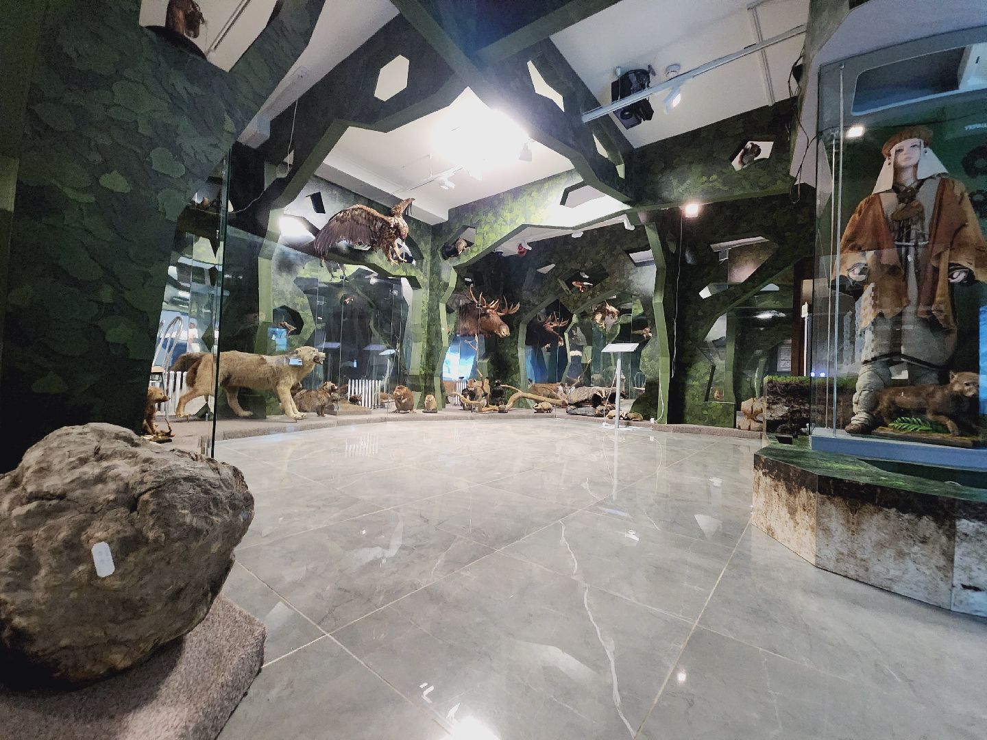 Егорьевск, Подмосковье, Московская область, Музей, Отдел истории,