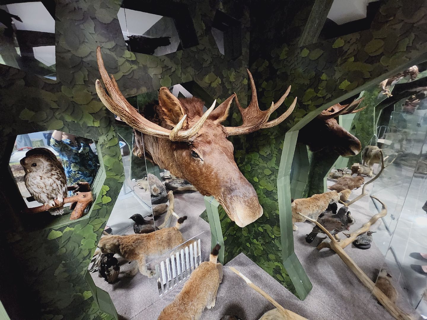 Егорьевск, Подмосковье, Московская область, Музей, Отдел истории,