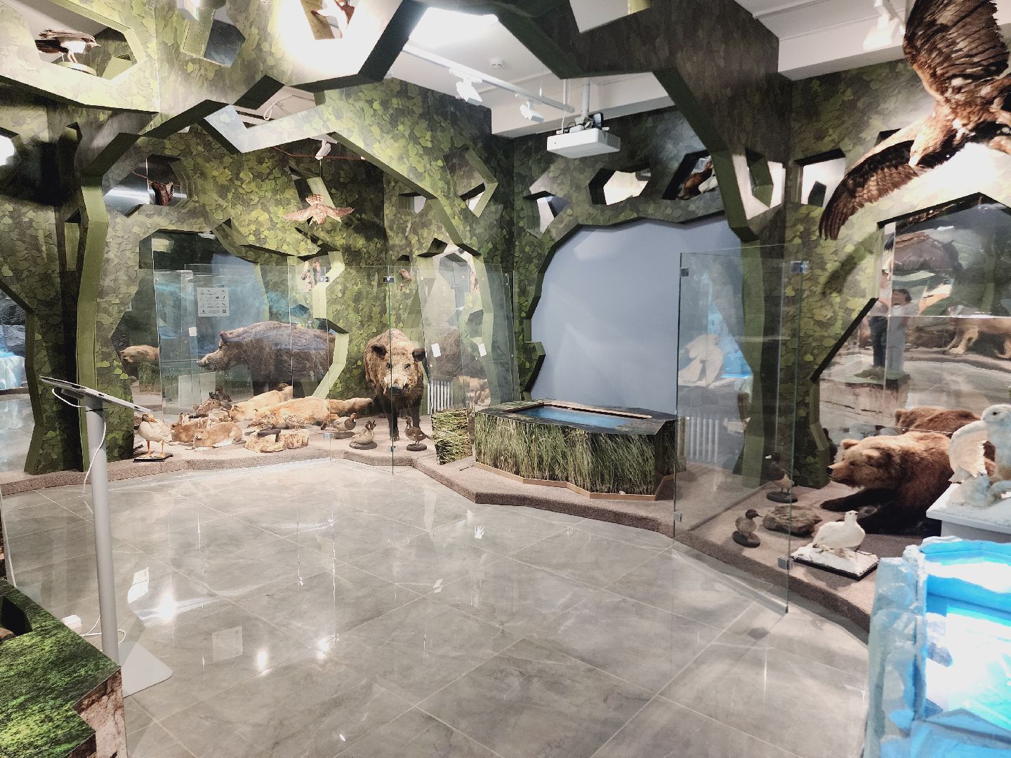 Егорьевск, Подмосковье, Московская область, Музей, Отдел истории,