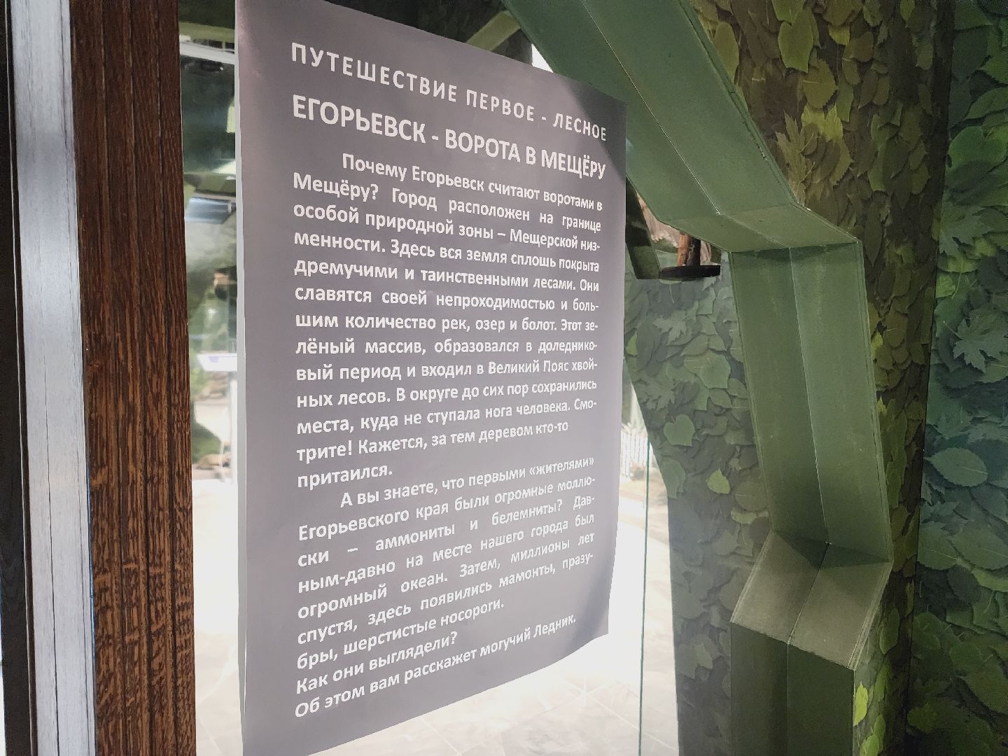 Егорьевск, Подмосковье, Московская область, Музей, Отдел истории,