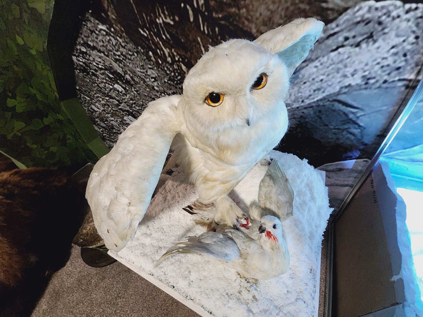 Егорьевск, Подмосковье, Московская область, Музей, Отдел истории,