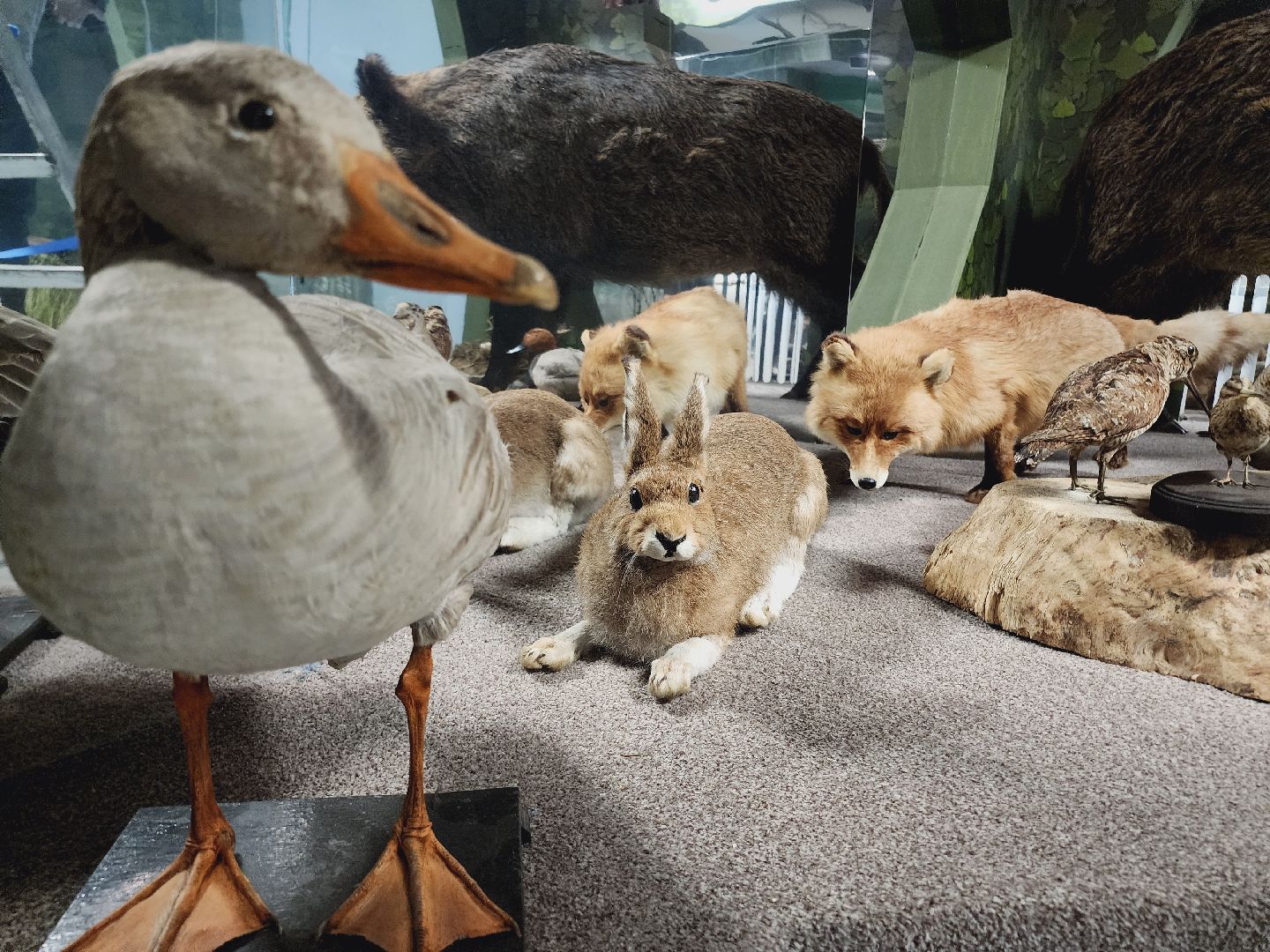 Егорьевск, Подмосковье, Московская область, Музей, Отдел истории,