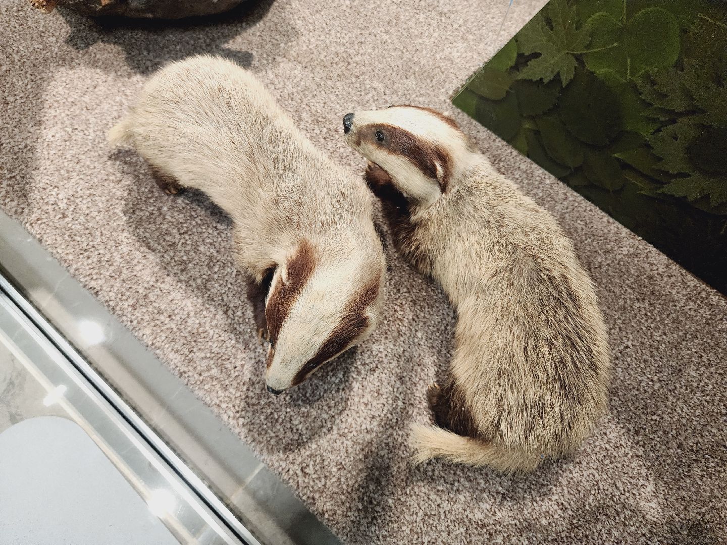 Егорьевск, Подмосковье, Московская область, Музей, Отдел истории,