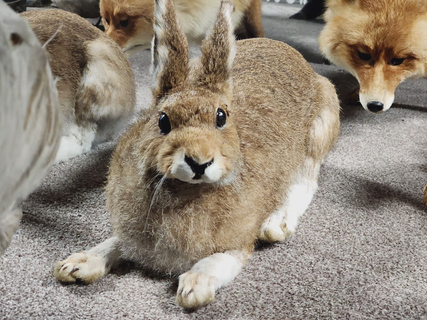 Егорьевск, Подмосковье, Московская область, Музей, Отдел истории,