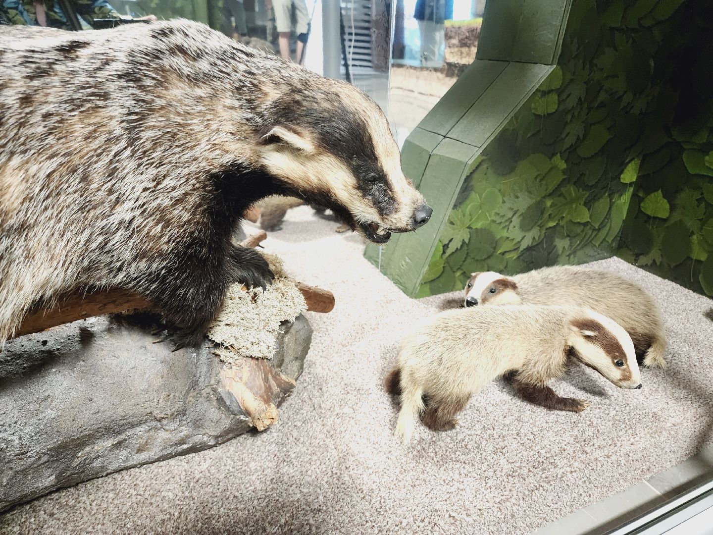 Егорьевск, Подмосковье, Московская область, Музей, Отдел истории,