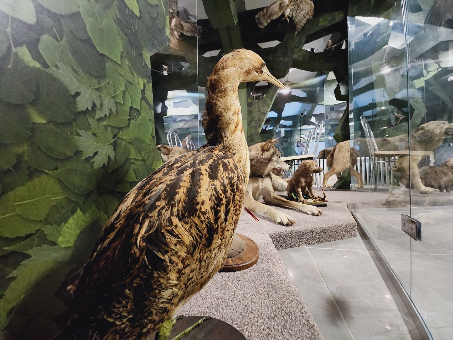 Егорьевск, Подмосковье, Московская область, Музей, Отдел истории,