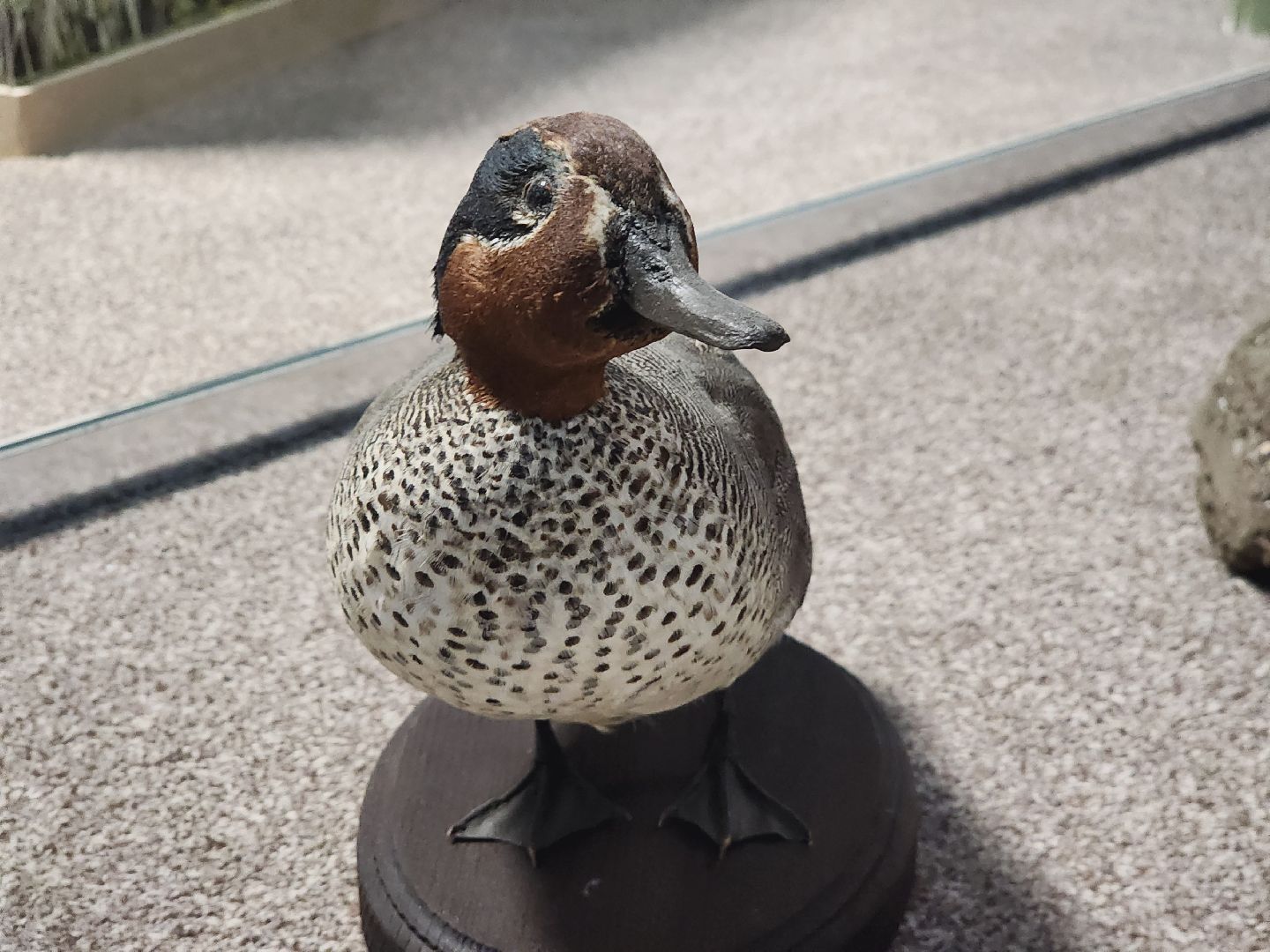 Егорьевск, Подмосковье, Московская область, Музей, Отдел истории,