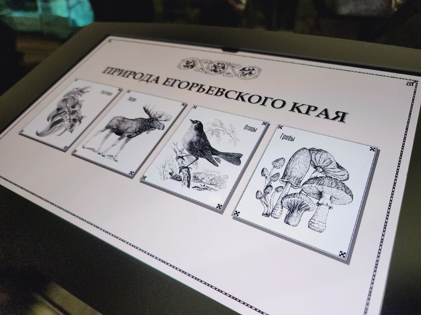 Егорьевск, Подмосковье, Московская область, Музей, Отдел истории,