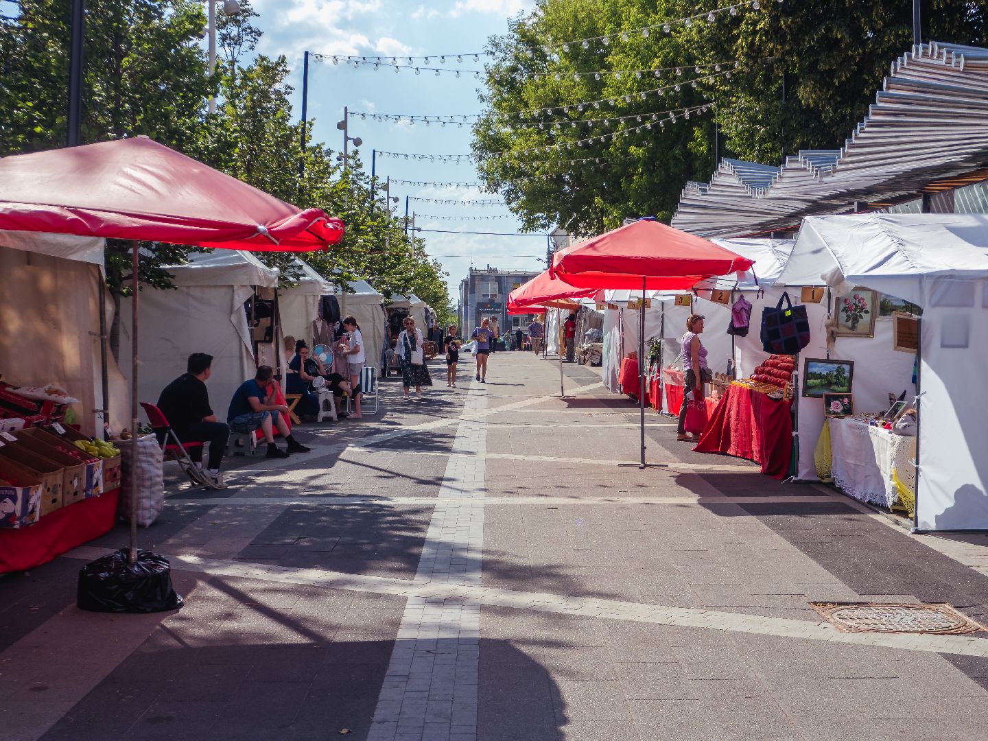 истра, мероприятие, благотворительность, сво,