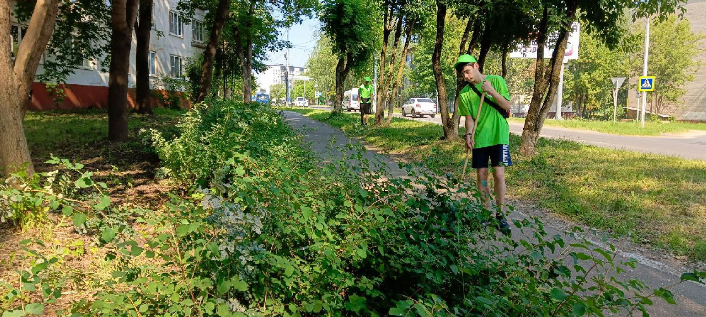 Дмитров, Дети, Лето добрых дел,
