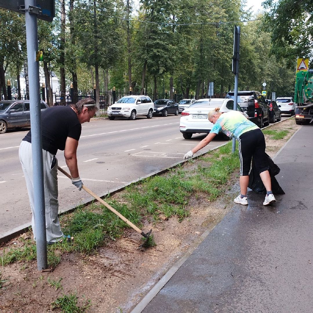 пушкино, благоустройство, газон, уборка мусора, жара, полив,