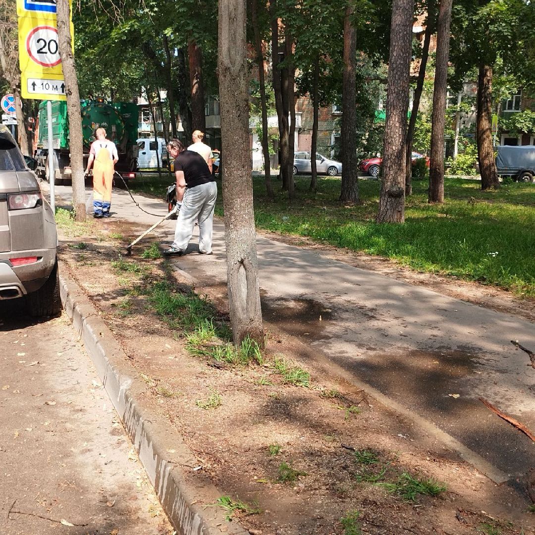 пушкино, благоустройство, газон, уборка мусора, жара, полив,