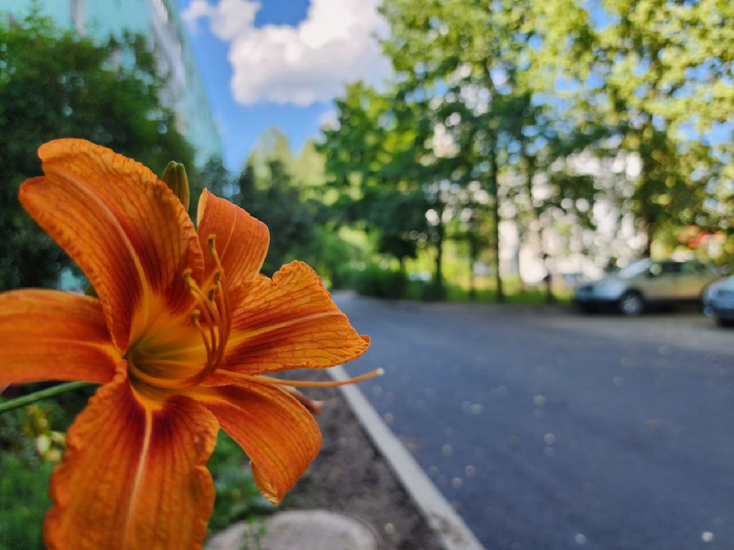 можайск, можайский городской округ, подмосковье, благоустройство, комплексное благоустройство дворовых территорий, дворовые территории, дворы, просьбы жителей,