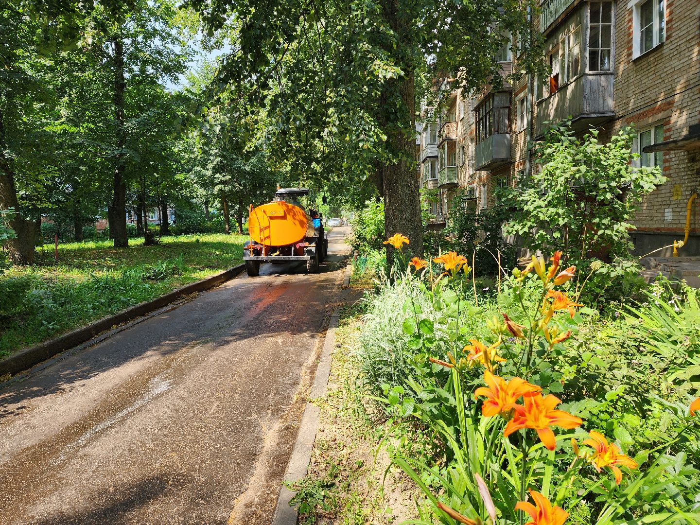 красноармейск, г.о. пушкинский, полив дорог, городское хозяйство,